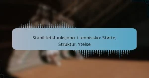 Stabilitetsfunksjoner i tennissko: Støtte, Struktur, Ytelse