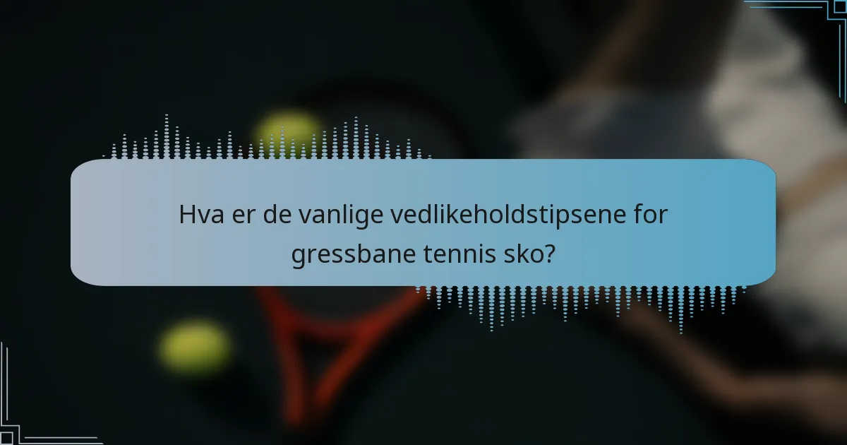 Hva er de vanlige vedlikeholdstipsene for gressbane tennis sko?