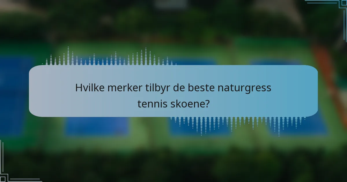 Hvilke merker tilbyr de beste naturgress tennis skoene?